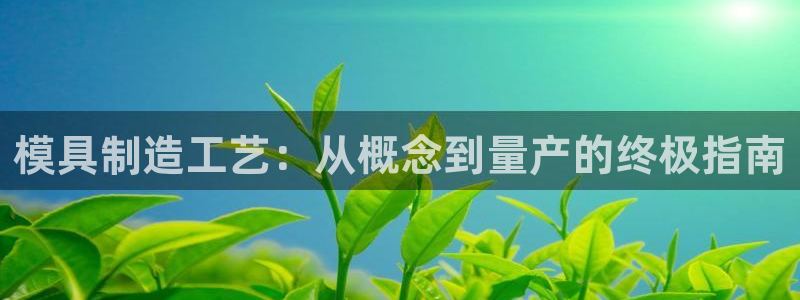 太阳成集团是什么