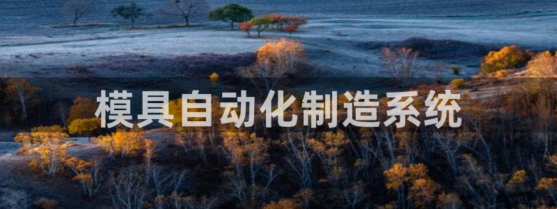 太阳成集团网站005：模具自动化制造系统