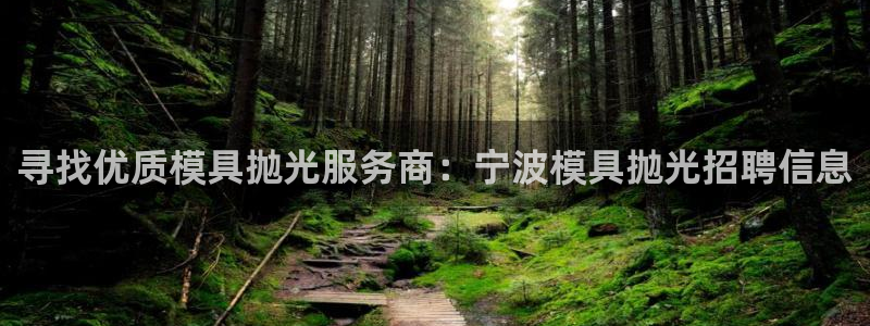 太阳诚集团下载：寻找优质模具抛光服务商：宁波模具抛光招聘信息