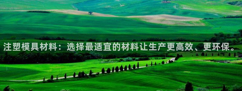太阳gg注册/登录：注塑模具材料：选择最适宜的材料让生产更高