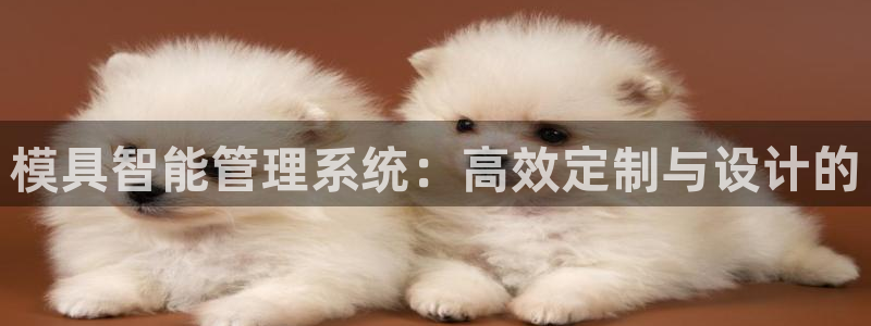 太阳appvip：模具智能管理系统：高效定制与设计的