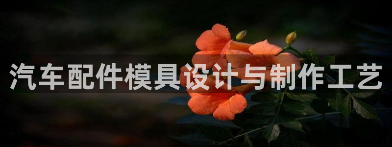 2138cn太阳集团古天乐·首页(欢迎您)：汽车配件模具设计