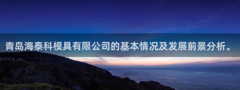 太阳集团的法人代表：青岛海泰科模具有限公司的基本情况及发展前景分析。