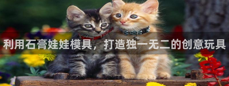 太阳成集团网站取款：利用石膏娃娃模具，打造独一无二的创意玩具