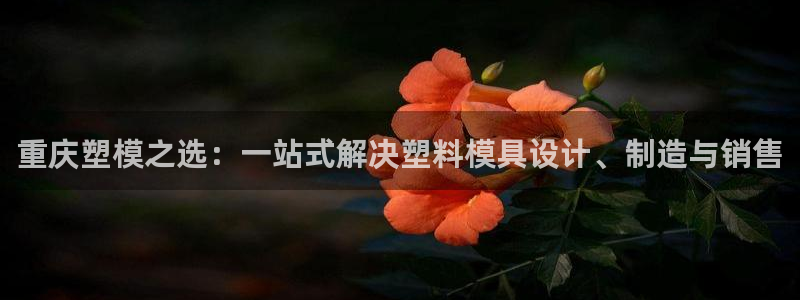 太阳集团城所有网址是多少：重庆塑模之选：一站式解决塑料模具设计、制造与销售