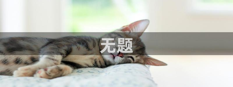 2007so太阳集团下载：无题