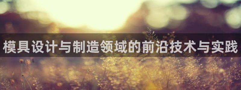 太阳集团电子游戏官网：模具设计与制造领域的前沿技术与实践