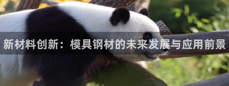 太阳集团2018登录网址：新材料创新：模具钢材的未来发展与应用前景