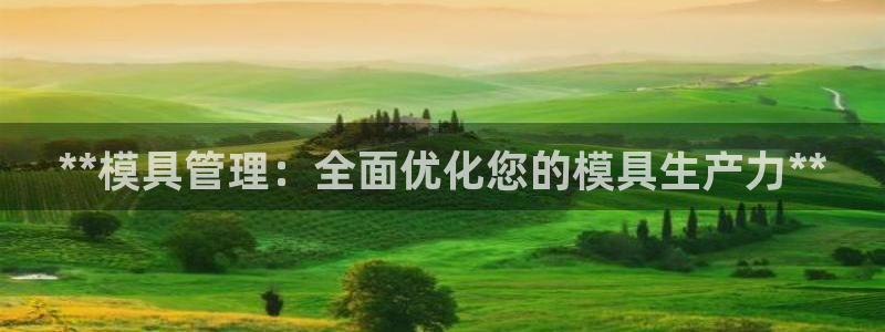 太阳集团城网址娱网：**模具管理：全面优化您的模具生产力**