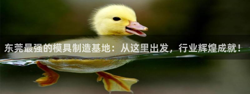 太阳成集团不能提现：东莞最强的模具制造基地：从这里出发，行业辉煌成就！