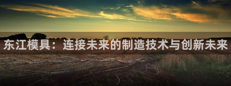 8827太阳集团：东江模具：连接未来的制造技术与创新未来