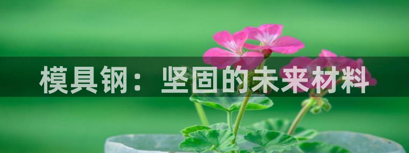 2007so太阳集团下载：模具钢：坚固的未来材料