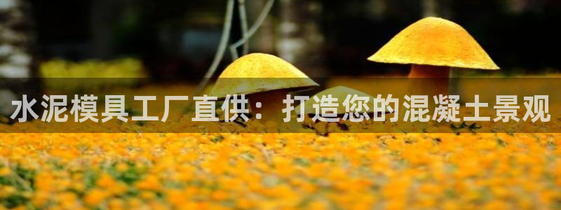 太阳集团唯一值得信赖网：水泥模具工厂直供：打造您的混凝土景观