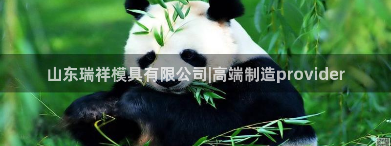 古天乐和太阳集团谁厉害：山东瑞祥模具有限公司|高端制造provider