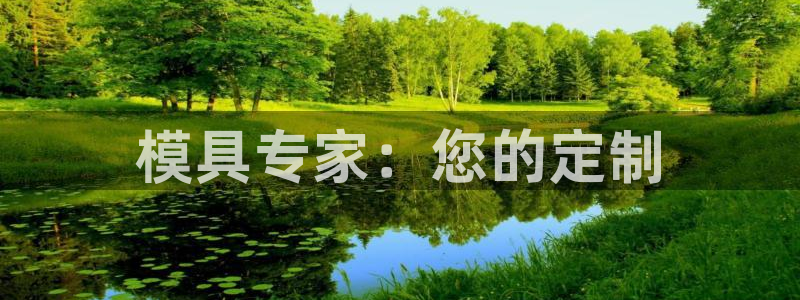 太阳老板是谁：模具专家：您的定制