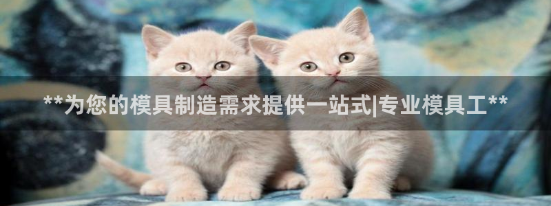 古天乐和太阳集团什么关系知乎：**为您的模具制造需求提供一站式|专业模具工**