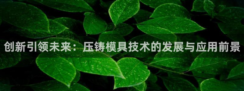 太阳集团游戏城旧版5376：创新引领未来：压铸模具技术的发展与应用前景