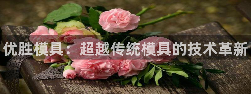 太阳app官方下载