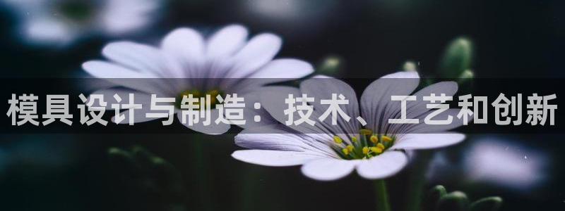 太阳老板是谁：模具设计与制造：技术、工艺和创新