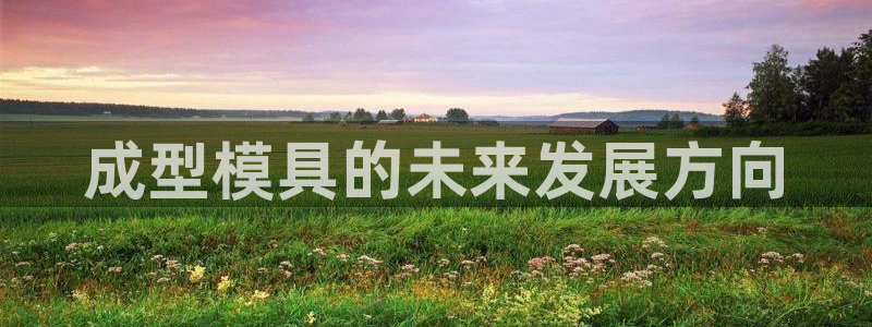 太阳gg注册/登录：成型模具的未来发展方向