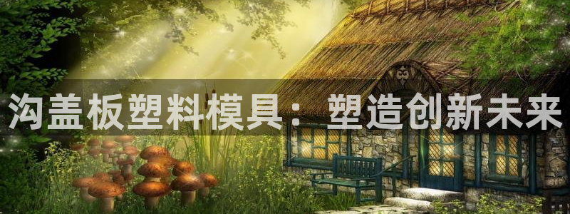 太阳诚集团视频：沟盖板塑料模具：塑造创新未来