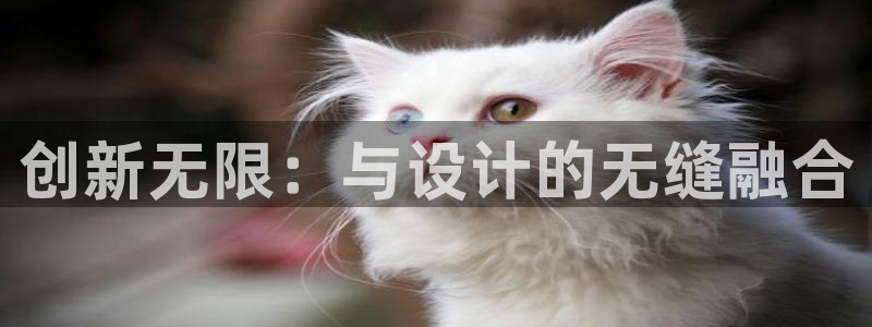 太阳gg平台地址：创新无限：与设计的无缝融合