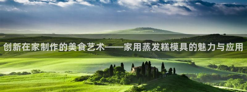 太阳诚集团有限公司是国企吗还是私企：创新在家制作的美食艺术——家用蒸发糕模具的魅力与应用