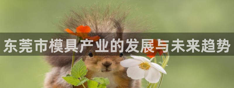 太阳集团在哪里：东莞市模具产业的发展与未来趋势