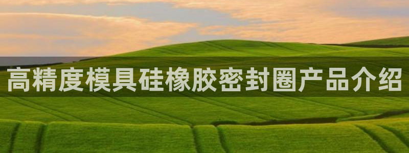 太阳集团是什么电视剧：高精度模具硅橡胶密封圈产品介绍