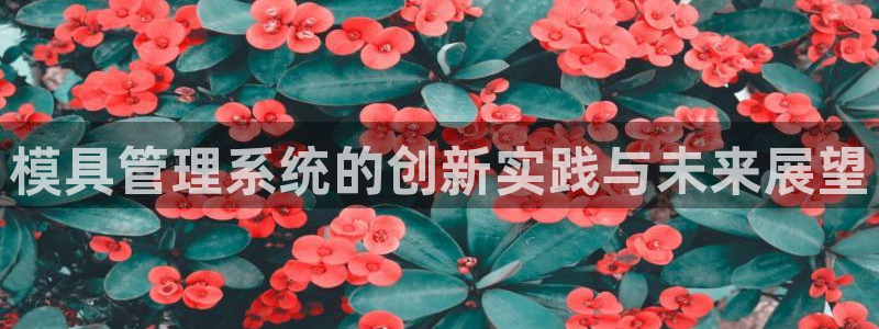 太阳集团股份有限公司