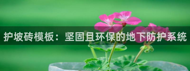 古天乐代言澳门太阳是真的吗：护坡砖模板：坚固且环保的地下防护系统