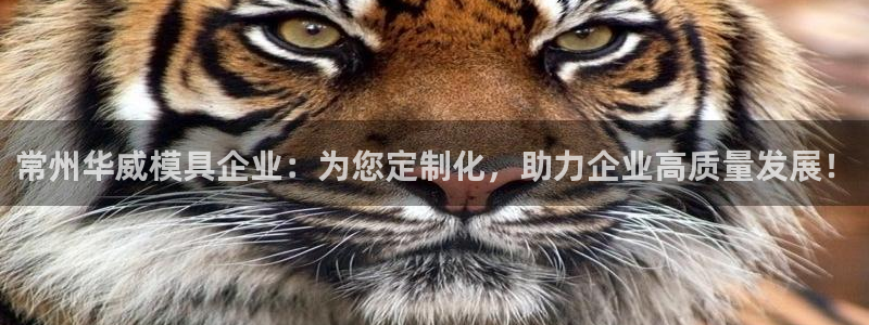 太阳集团城安卓版游戏：常州华威模具企业：为您定制化，助力企业高质量发展！