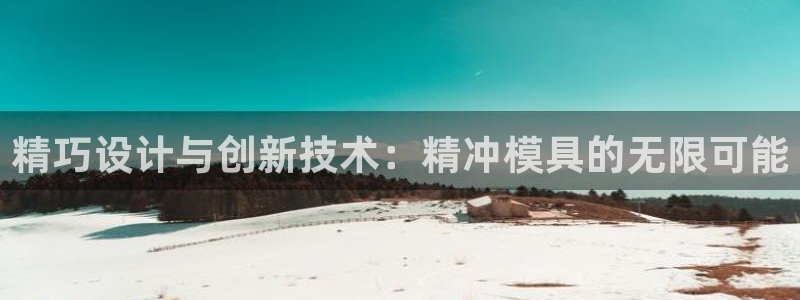 太阳老板是谁：精巧设计与创新技术：精冲模具的无限可能