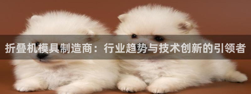 太阳集团城官方app下载：折叠机模具制造商：行业趋势与技术创新的引领者