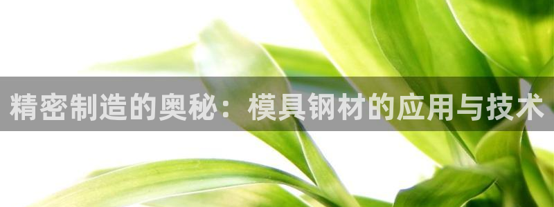 太阳诚集团是什么：精密制造的奥秘：模具钢材的应用与技术