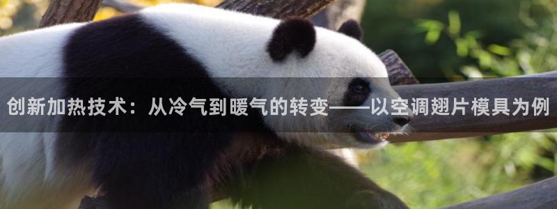 太阳成集团tyc7111cc的研发体系：创新加热技术：从冷气到暖气的转变——以空调翅片模具为例