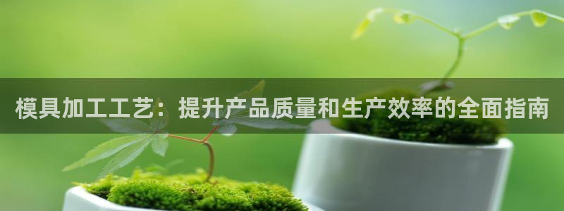 太阳地产老板：模具加工工艺：提升产品质量和生产效率的全面指南