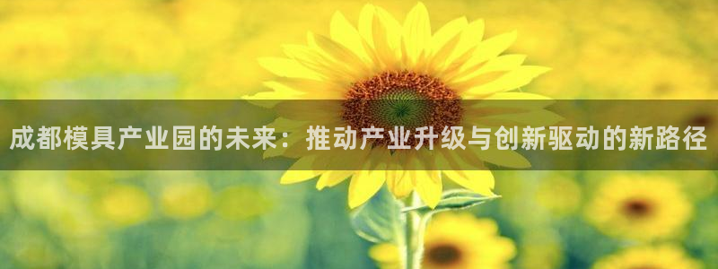 122cc太阳集成游戏：成都模具产业园的未来：推动产业升级与创新驱动的新路径
