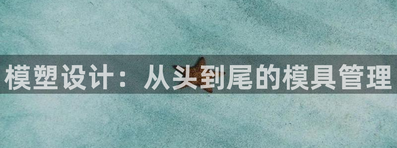 太阳游戏城app：模塑设计：从头到尾的模具管理