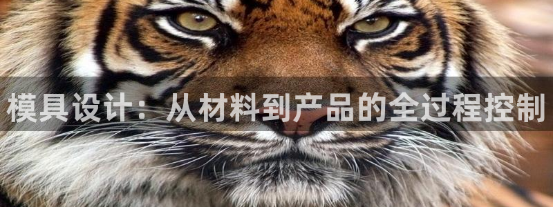 太阳诚集团：模具设计：从材料到产品的全过程控制