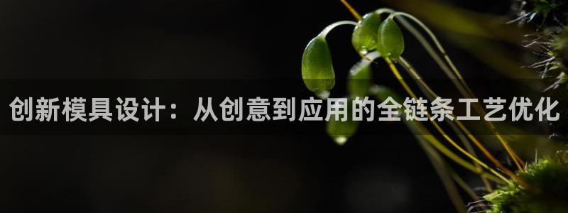 太阳集团电子游戏宙斯：创新模具设计：从创意到应用的全链条工艺优化