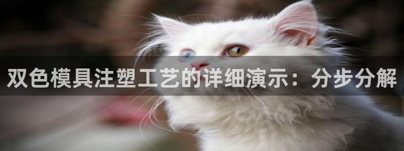 太阳集团2018登录网址