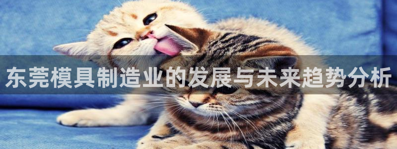 太阳2平台下载：东莞模具制造业的发展与未来趋势分析